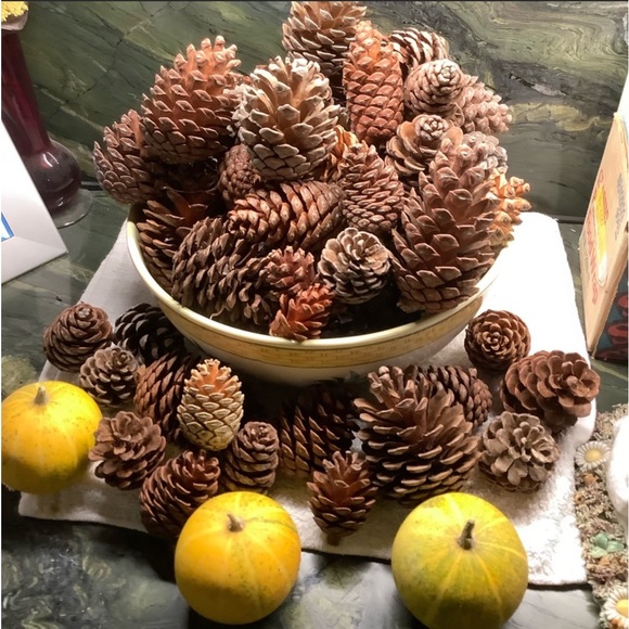 Pumpkin Ginger Ale Scented Pinecones From My Farm Organic Hand Crafted new. - Picture 7 of 13